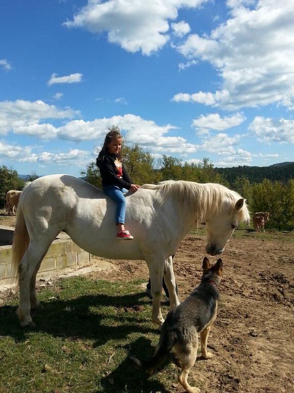 Country House El Permanyer Olost Екстериор снимка